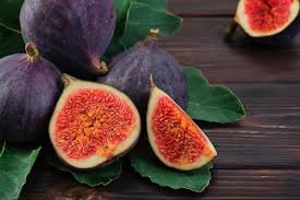 Figs